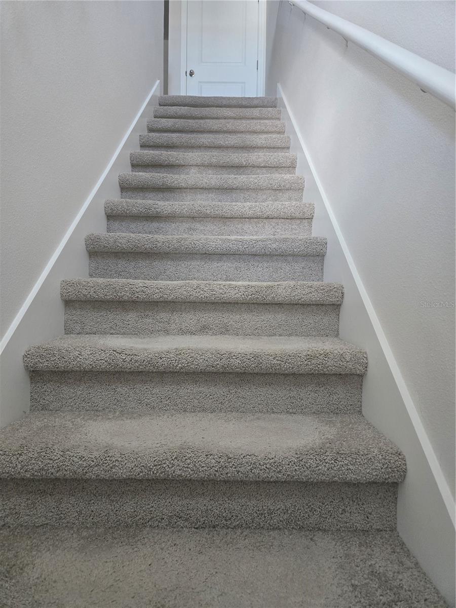 4312 RED BANKS LN — photo 16