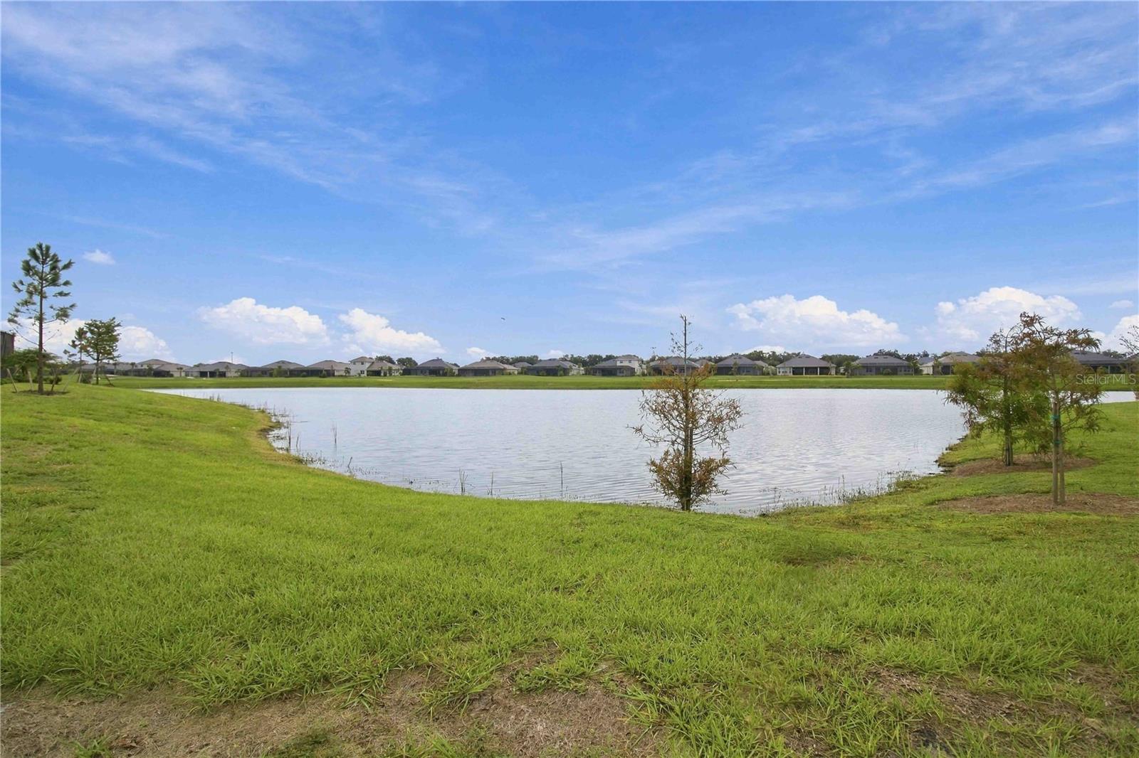 19104 CHERRYSTONE WAY — photo 43