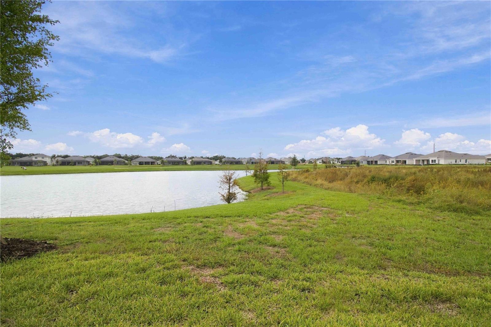 19104 CHERRYSTONE WAY — photo 40