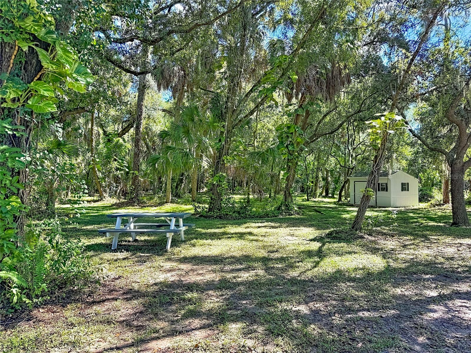 1115 MILL RUN E — photo 52