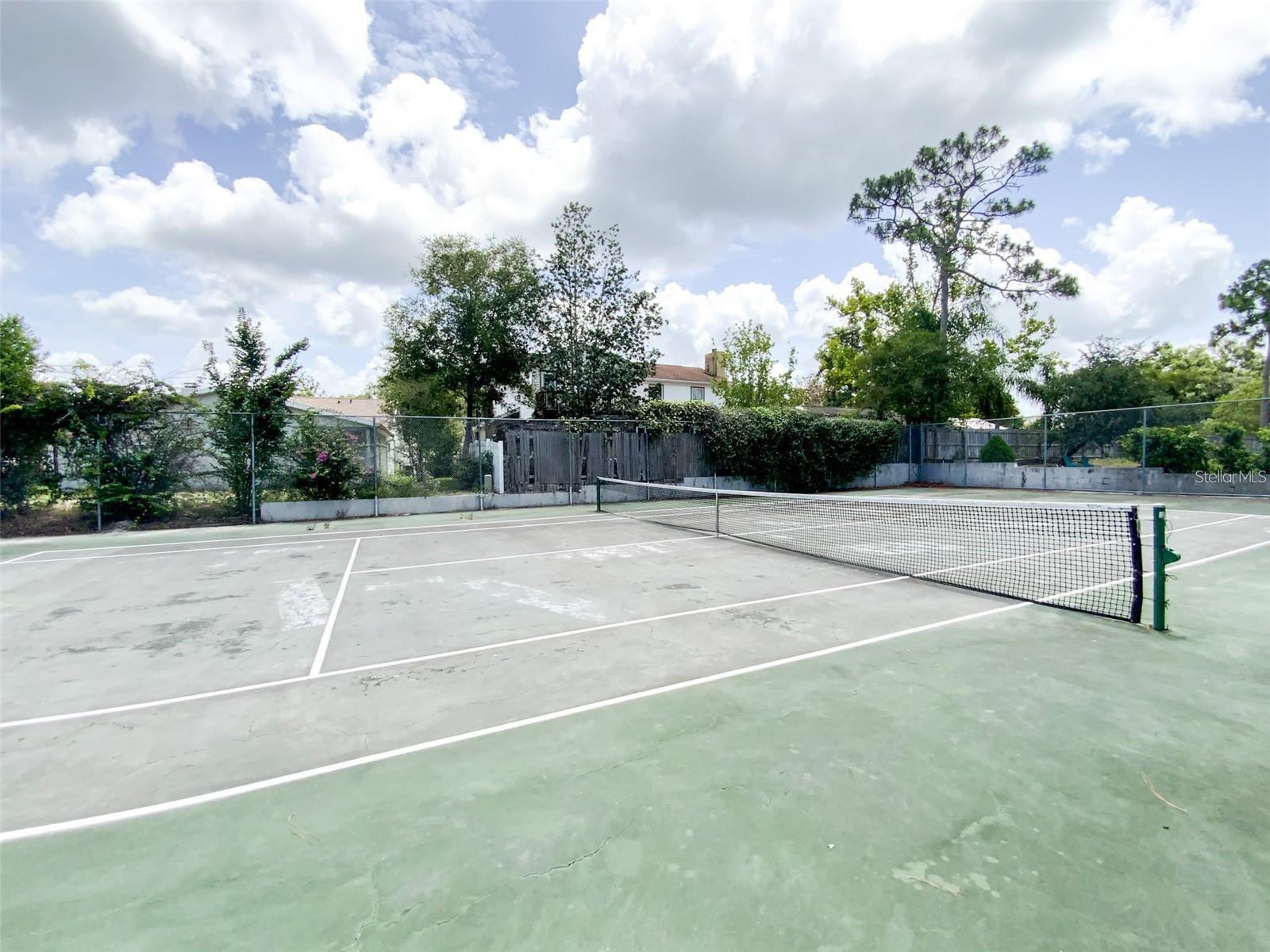 7509 CANVASBACK DR — photo 36