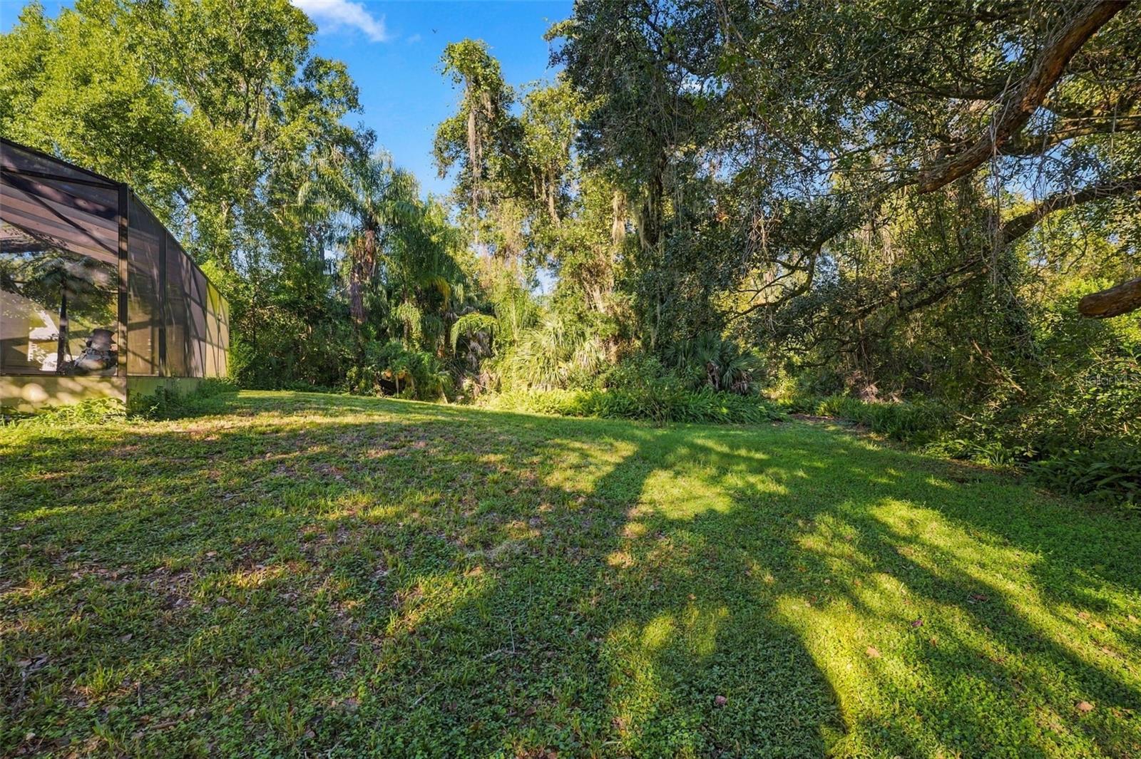 7509 CANVASBACK DR — photo 31