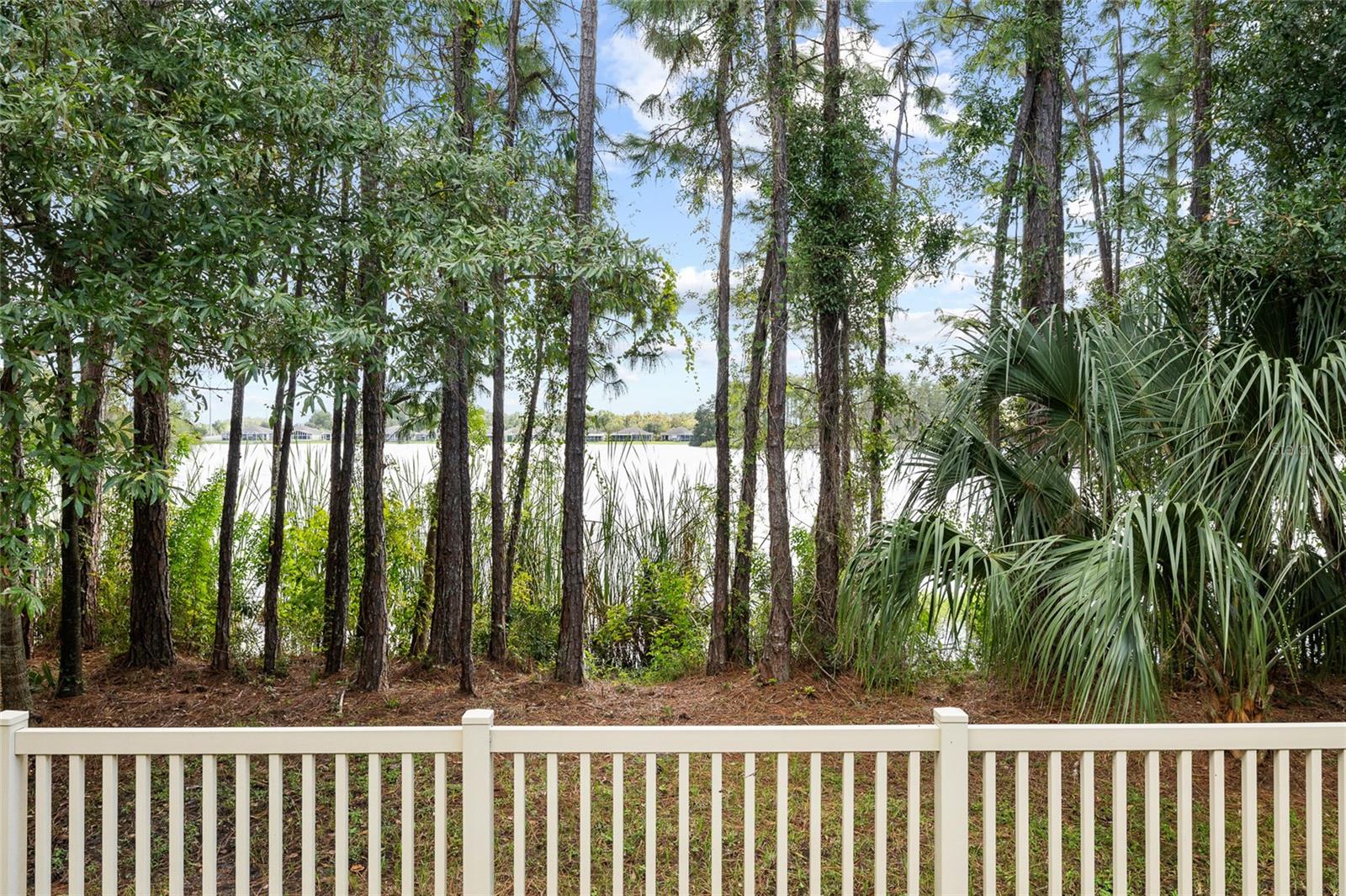 11424 CROWNED SPARROW LN — photo 42