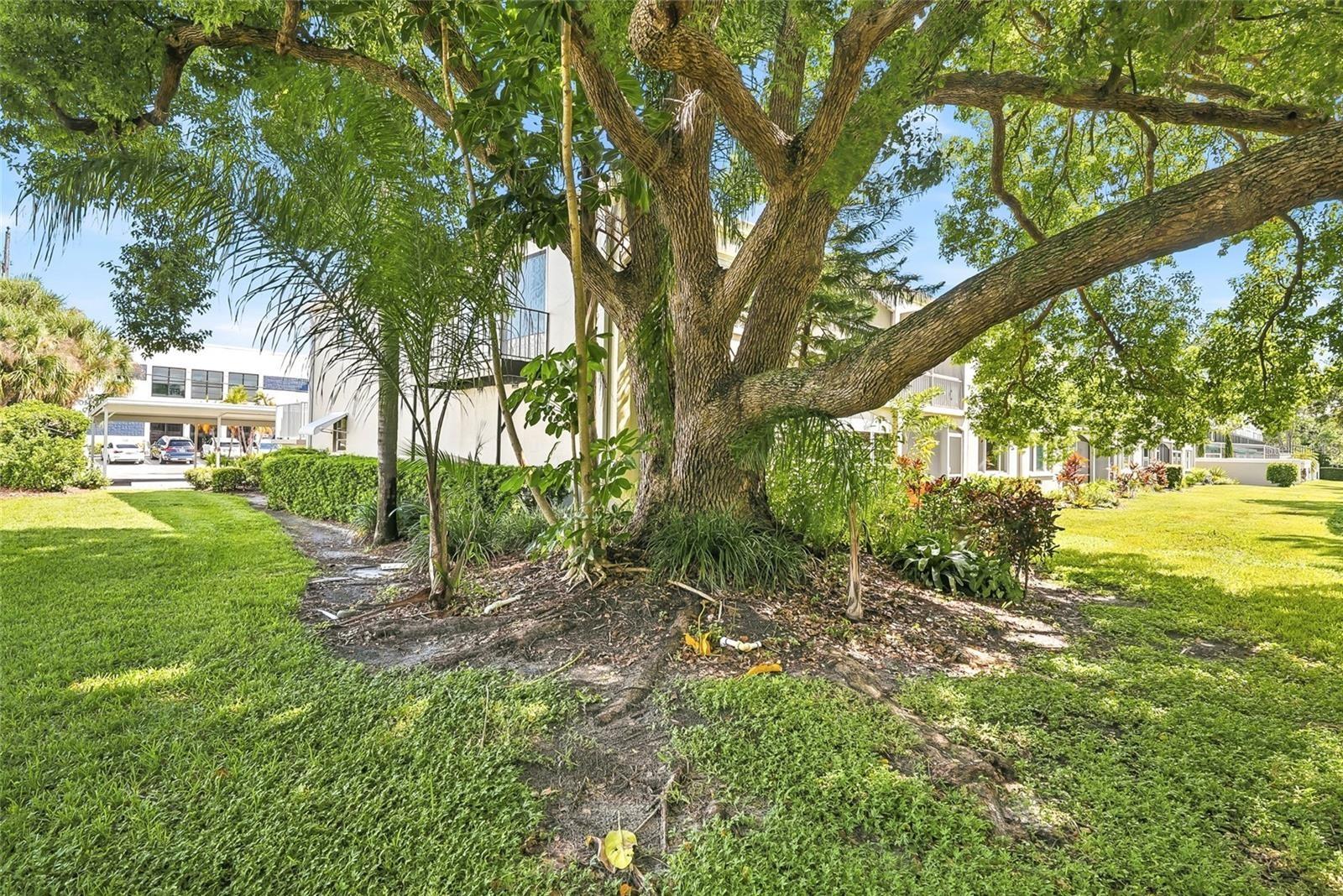 919 OSCEOLA RD #207 — photo 34