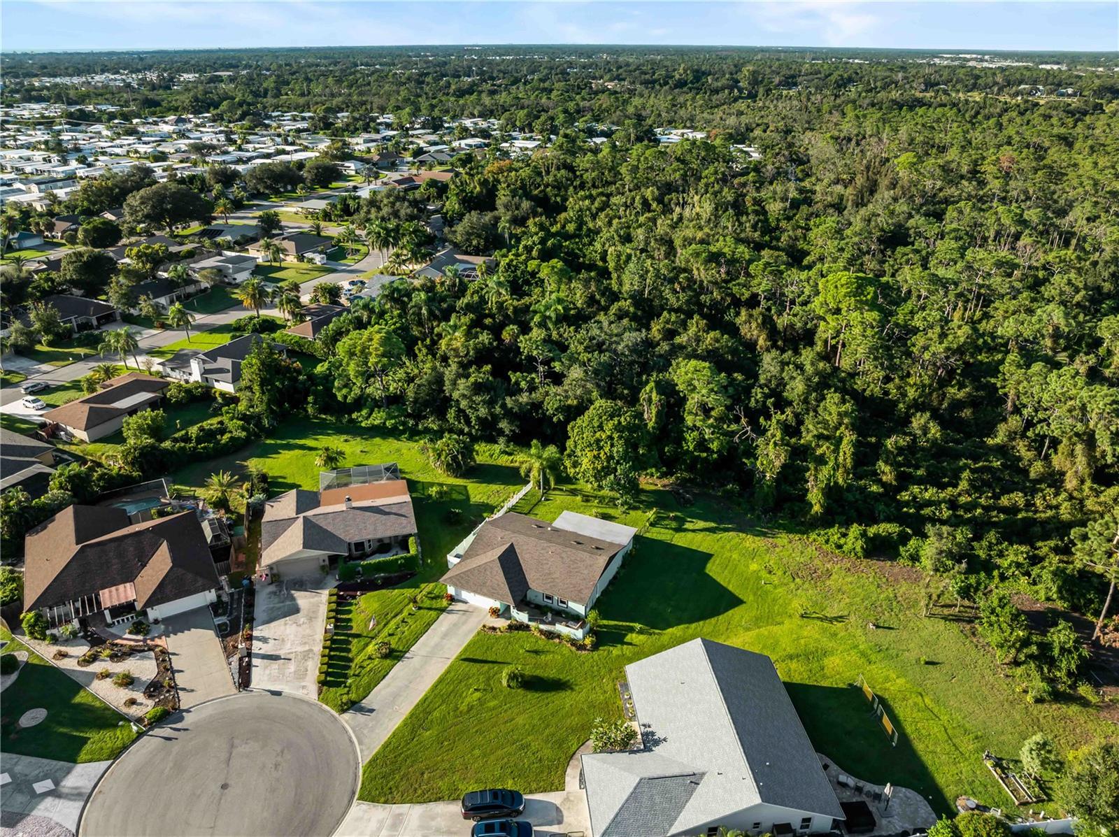 1319 PINEBROOK WAY CT — photo 39
