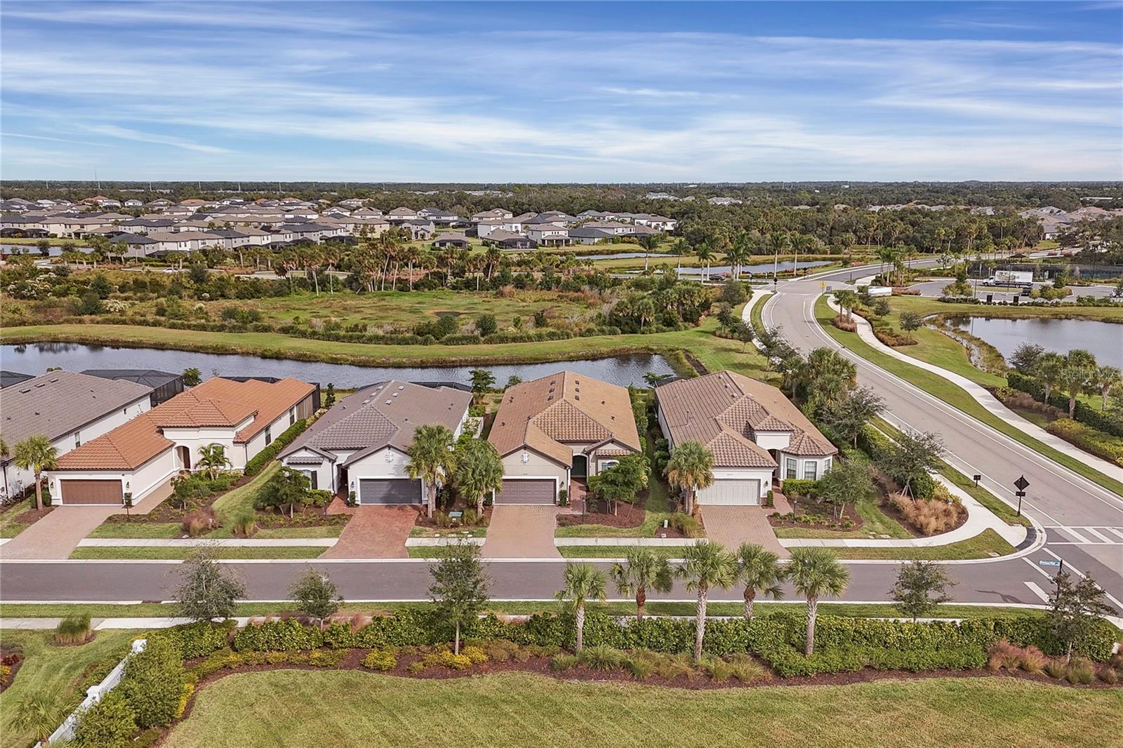 10238 MORNING MIST LN — photo 44