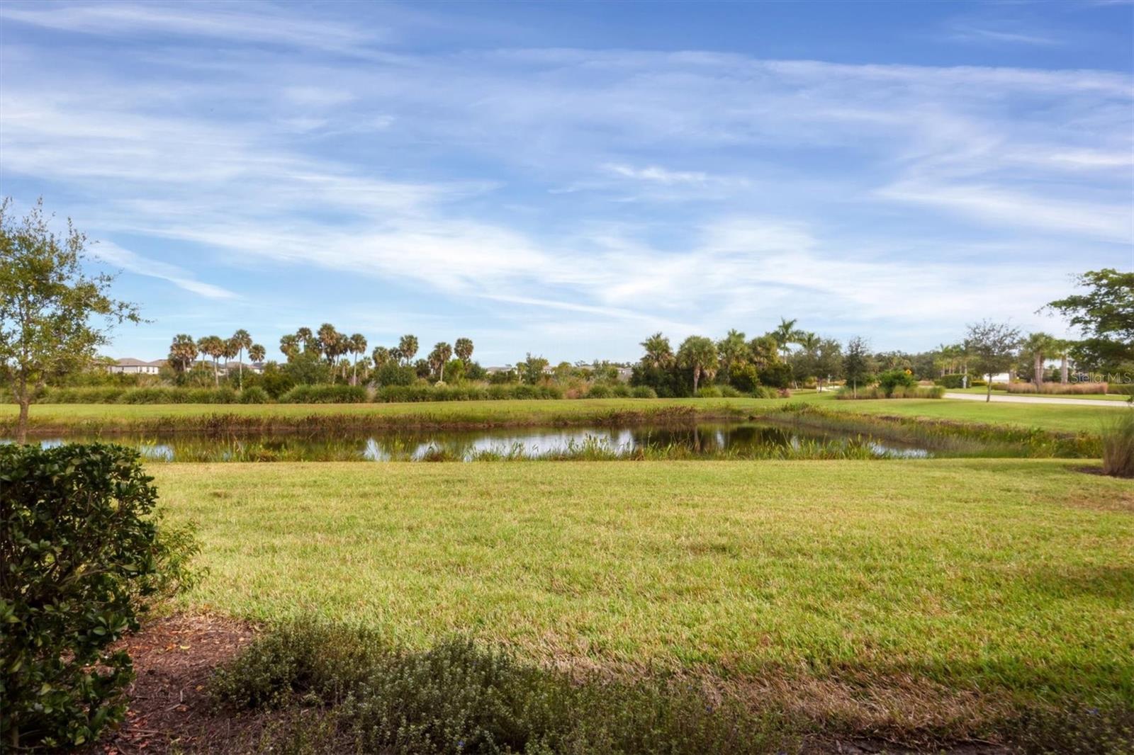 10238 MORNING MIST LN — photo 42