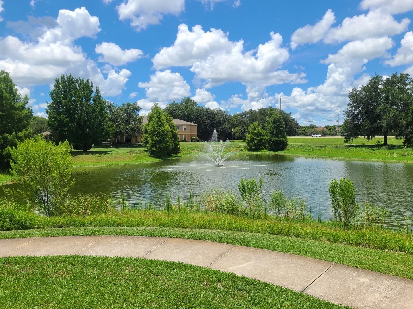 36113 DEER CREEK DR #201 — photo 41