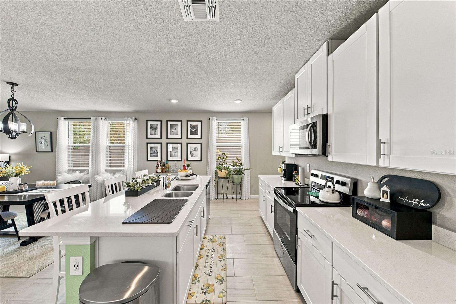 3621 RADIANT MOUNTAIN DR — photo 10