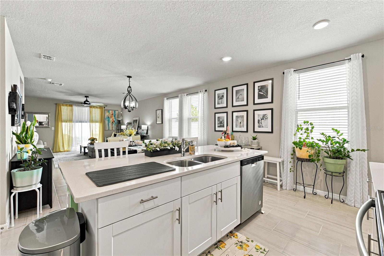 3621 RADIANT MOUNTAIN DR — photo 9