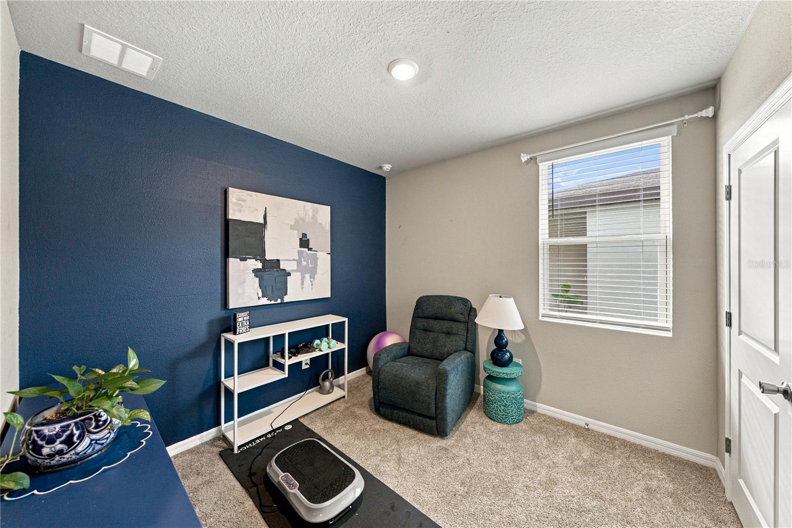 3621 RADIANT MOUNTAIN DR — photo 24
