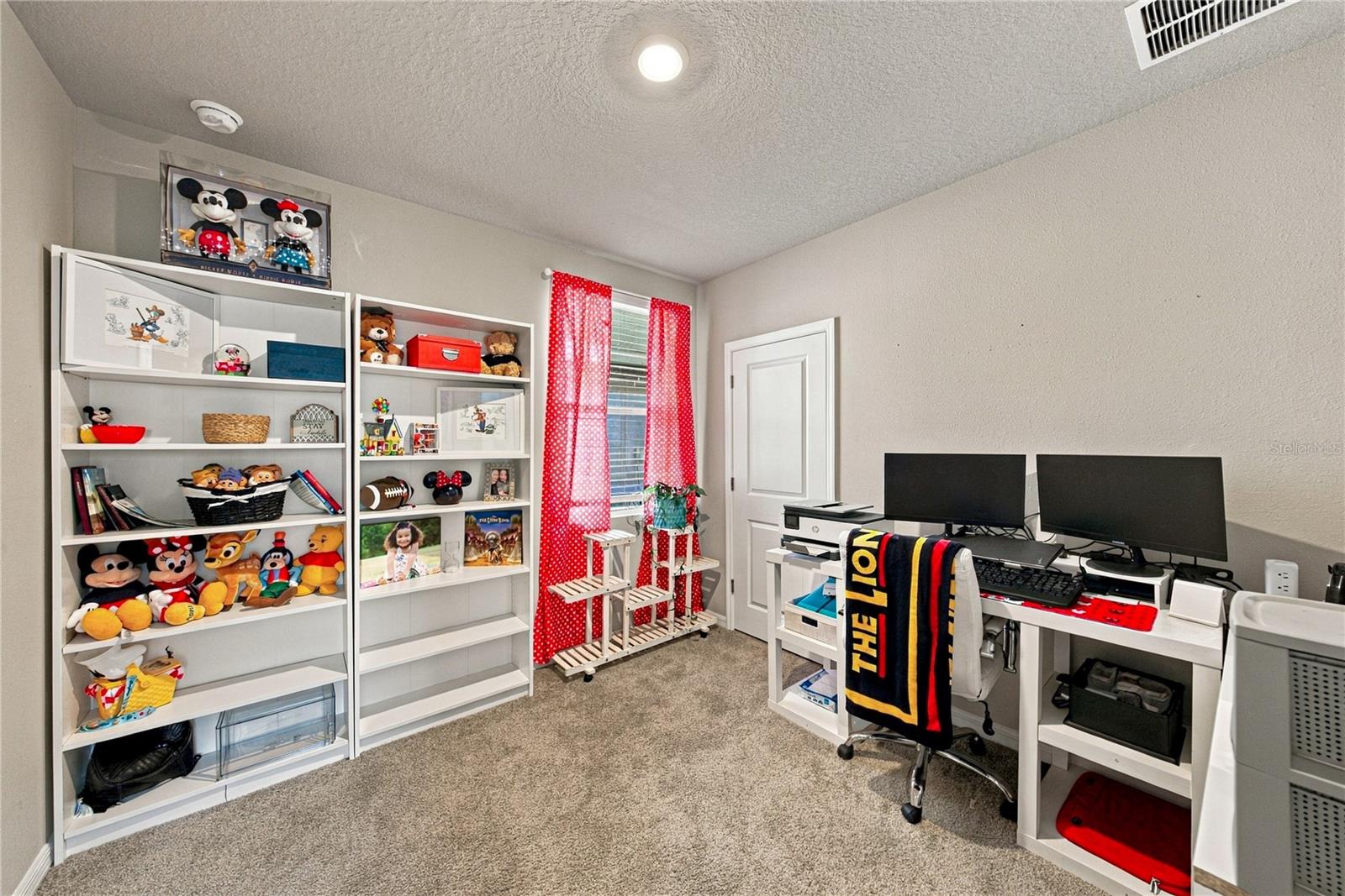 3621 RADIANT MOUNTAIN DR — photo 21