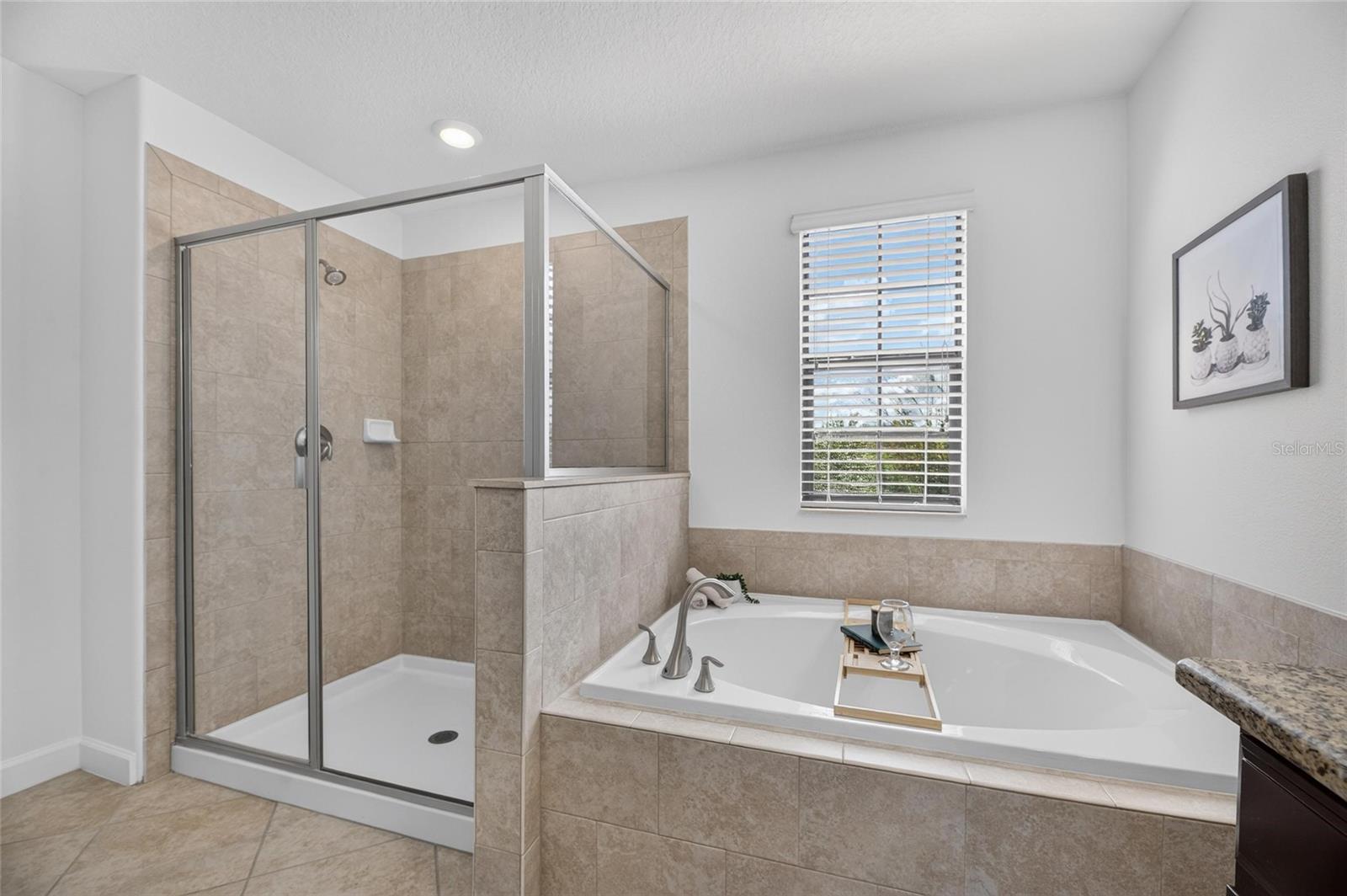 11010 PURPLE MARTIN BLVD — photo 64