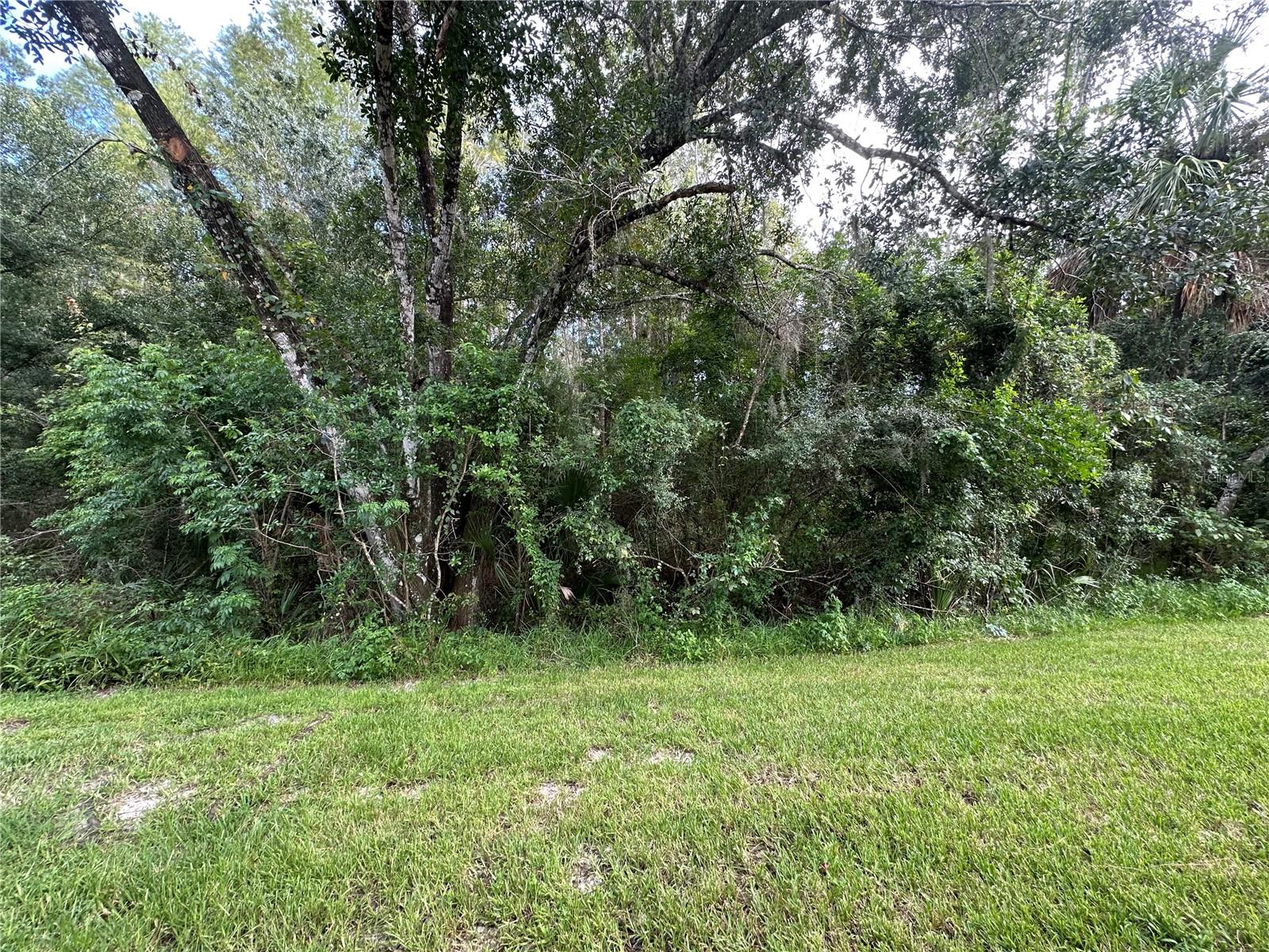 8627 HUNTERS KEY CIR — photo 15