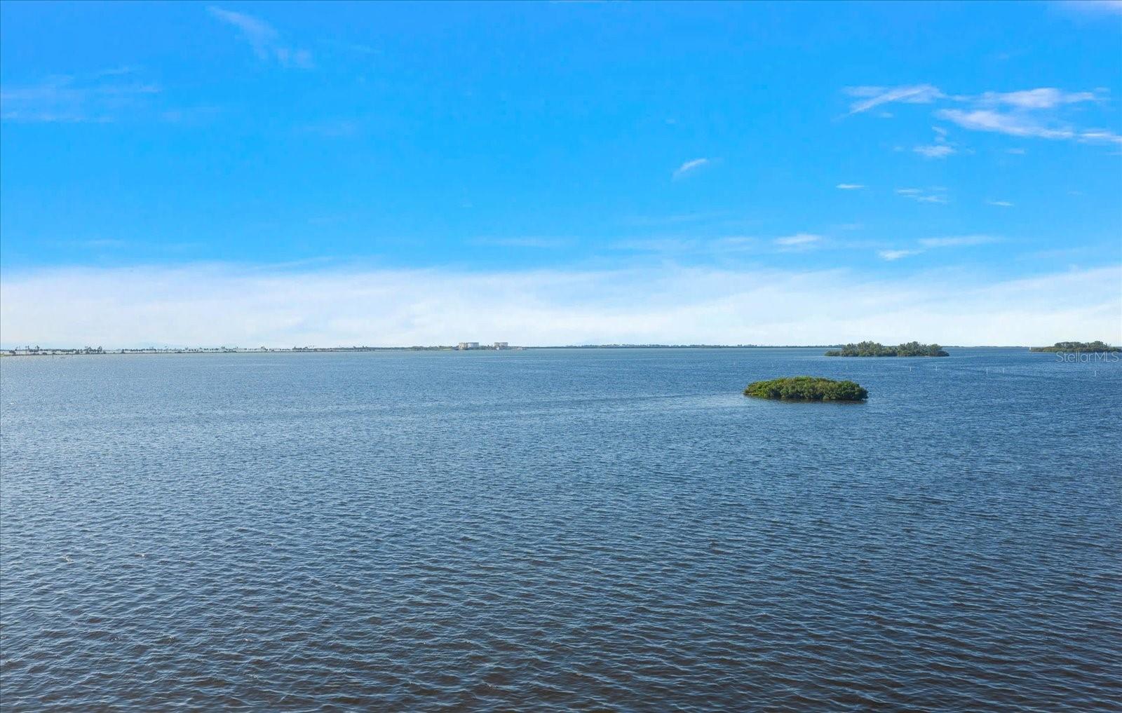 2700 BAYSHORE BLVD #11404 — photo 29