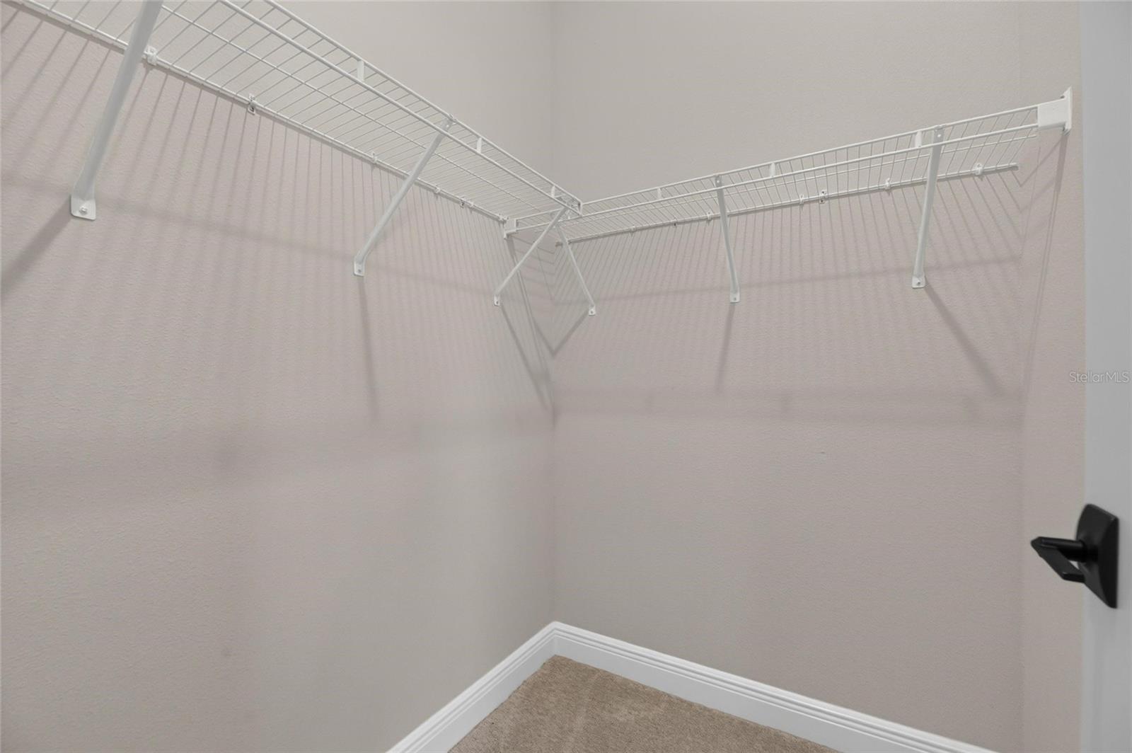 31710 CHATEAU MANOR LANE — photo 28