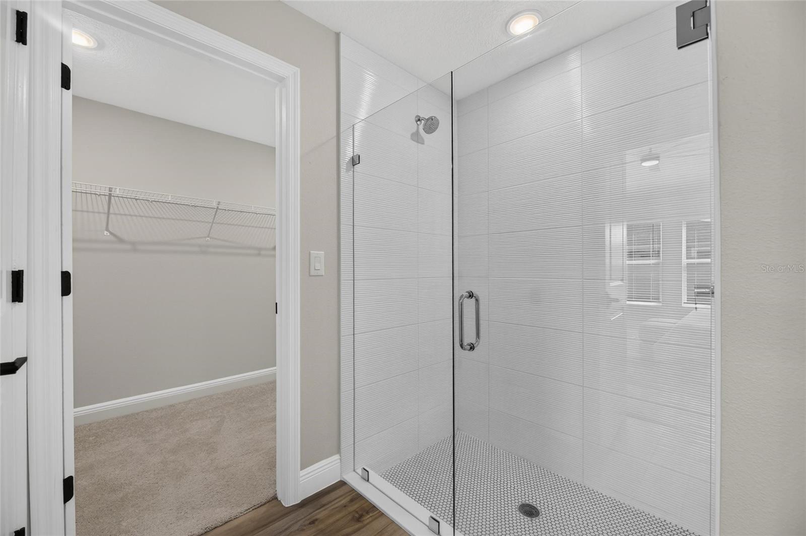 31710 CHATEAU MANOR LANE — photo 43