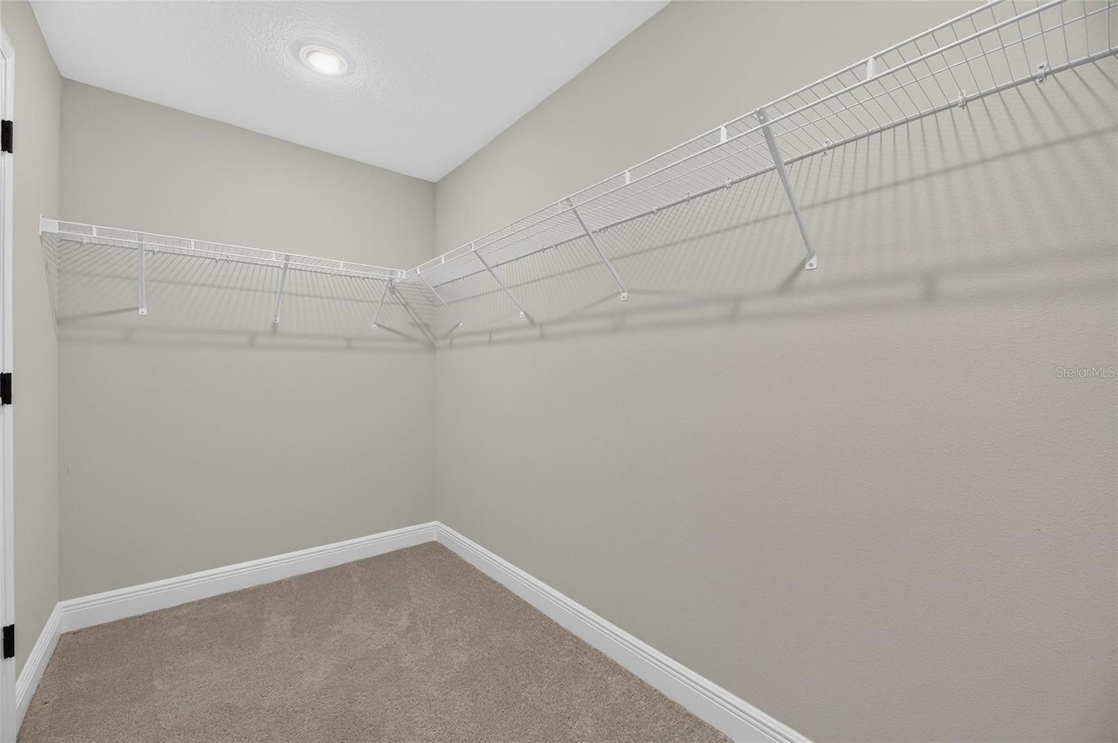 31710 CHATEAU MANOR LANE — photo 46