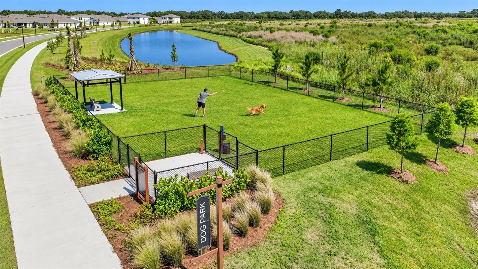 3515 WHITE DANDELION CT — photo 17