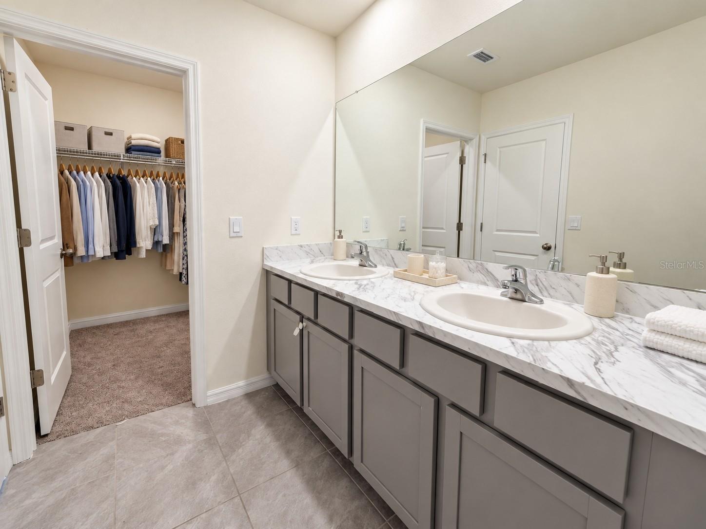 3515 WHITE DANDELION CT — photo 6