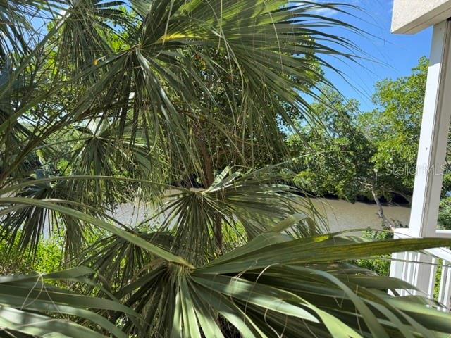 466 BAHIA BEACH BLVD — photo 23