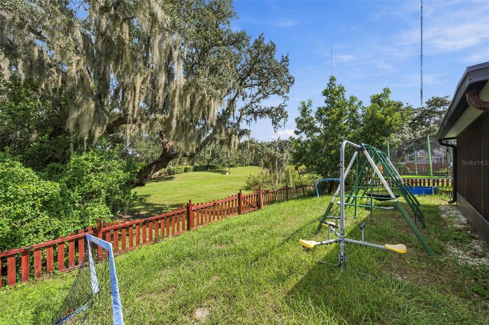 13516 COPPER HEAD DR — photo 28