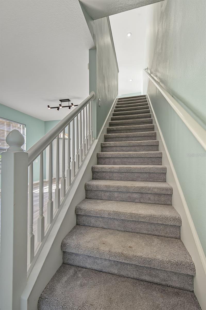 2555 NEWBERN DR — photo 23