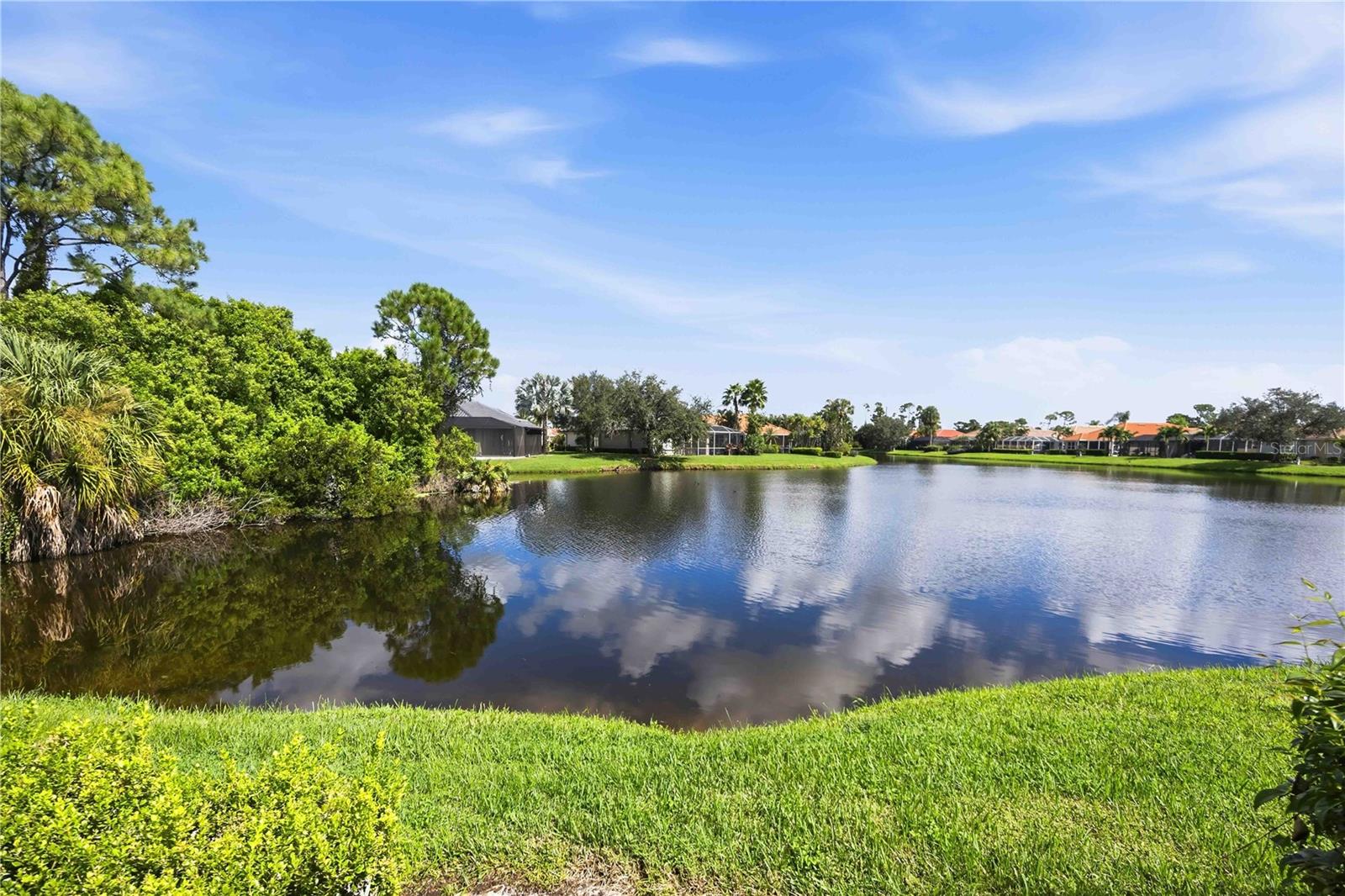 3951 WHISPERING OAKS DR — photo 50