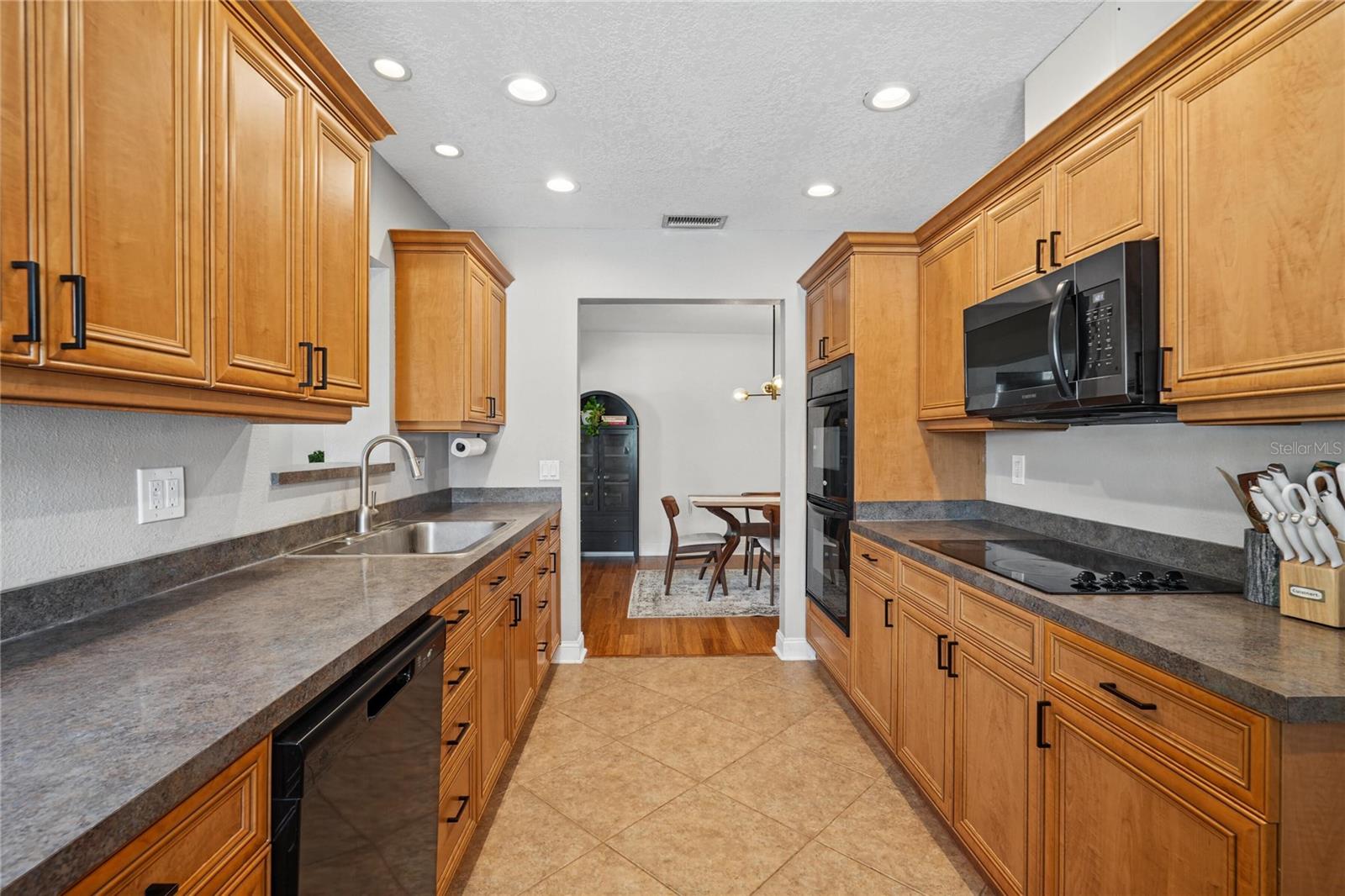 13833 DOMINICA DR — photo 9