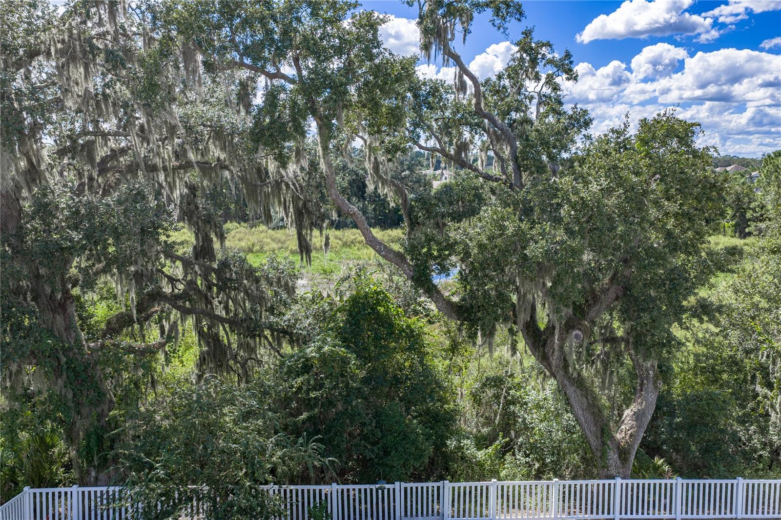 6689 COBBLE BLISS ST — photo 54