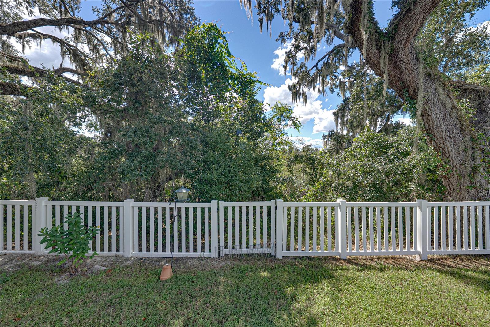 6689 COBBLE BLISS ST — photo 53