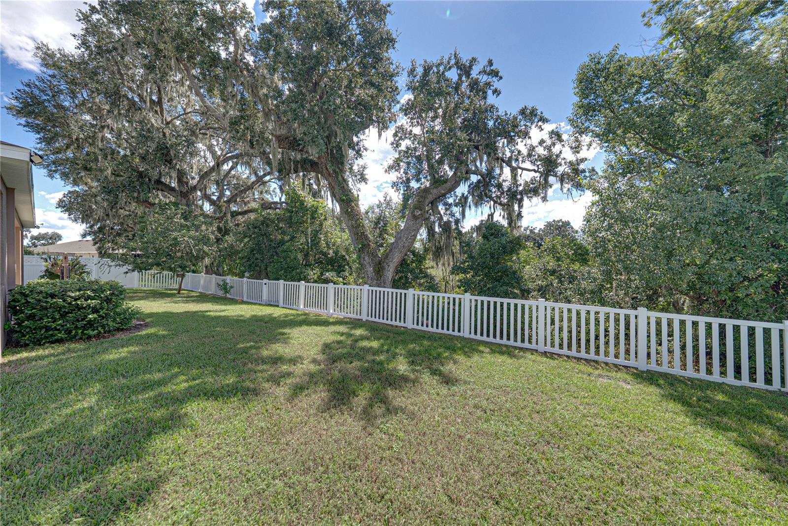 6689 COBBLE BLISS ST — photo 51
