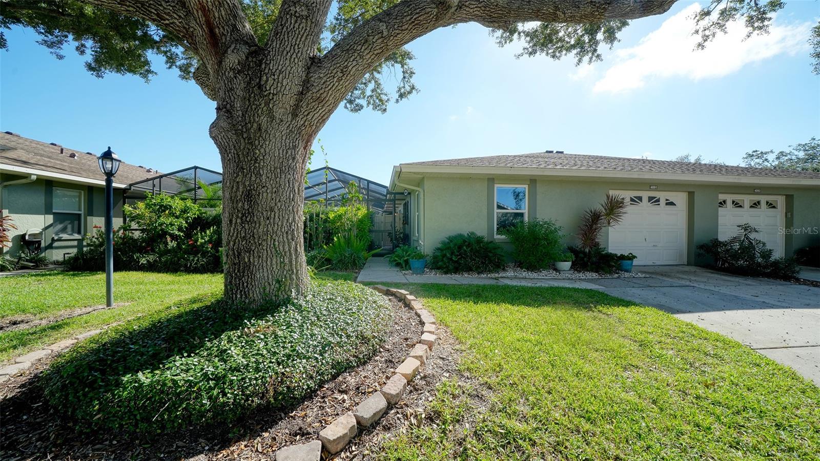 4091 CENTER POINTE PL #40A — photo 3