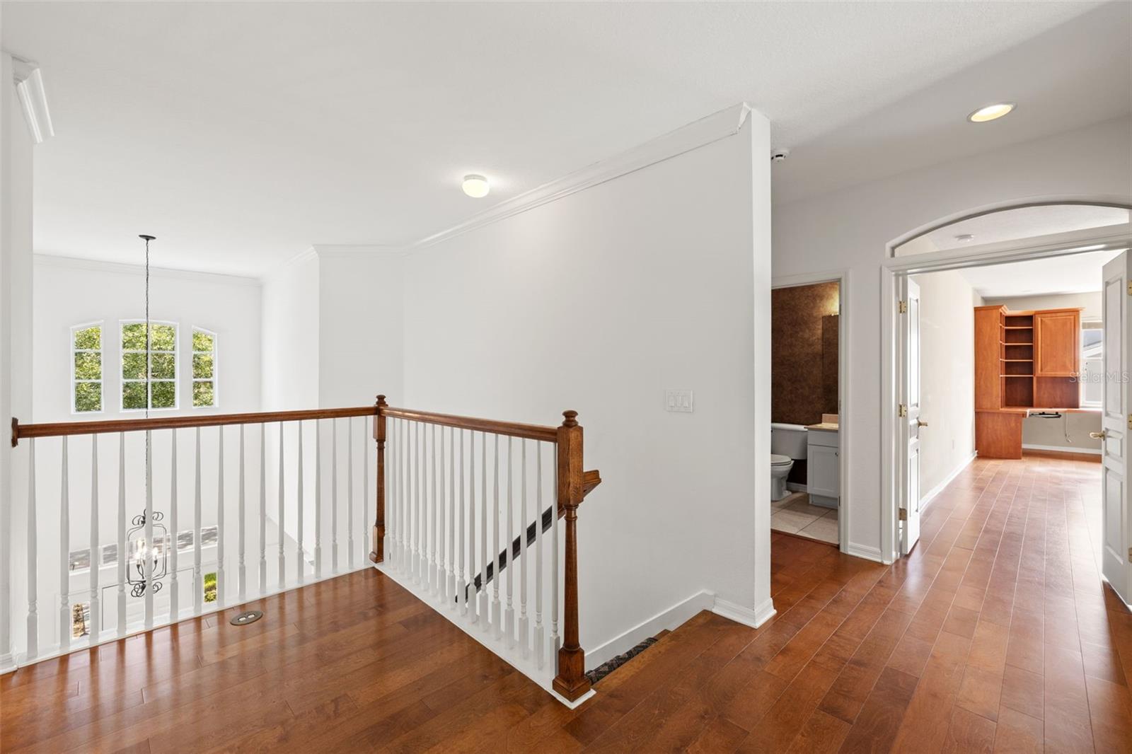 14623 CANOPY DR — photo 42
