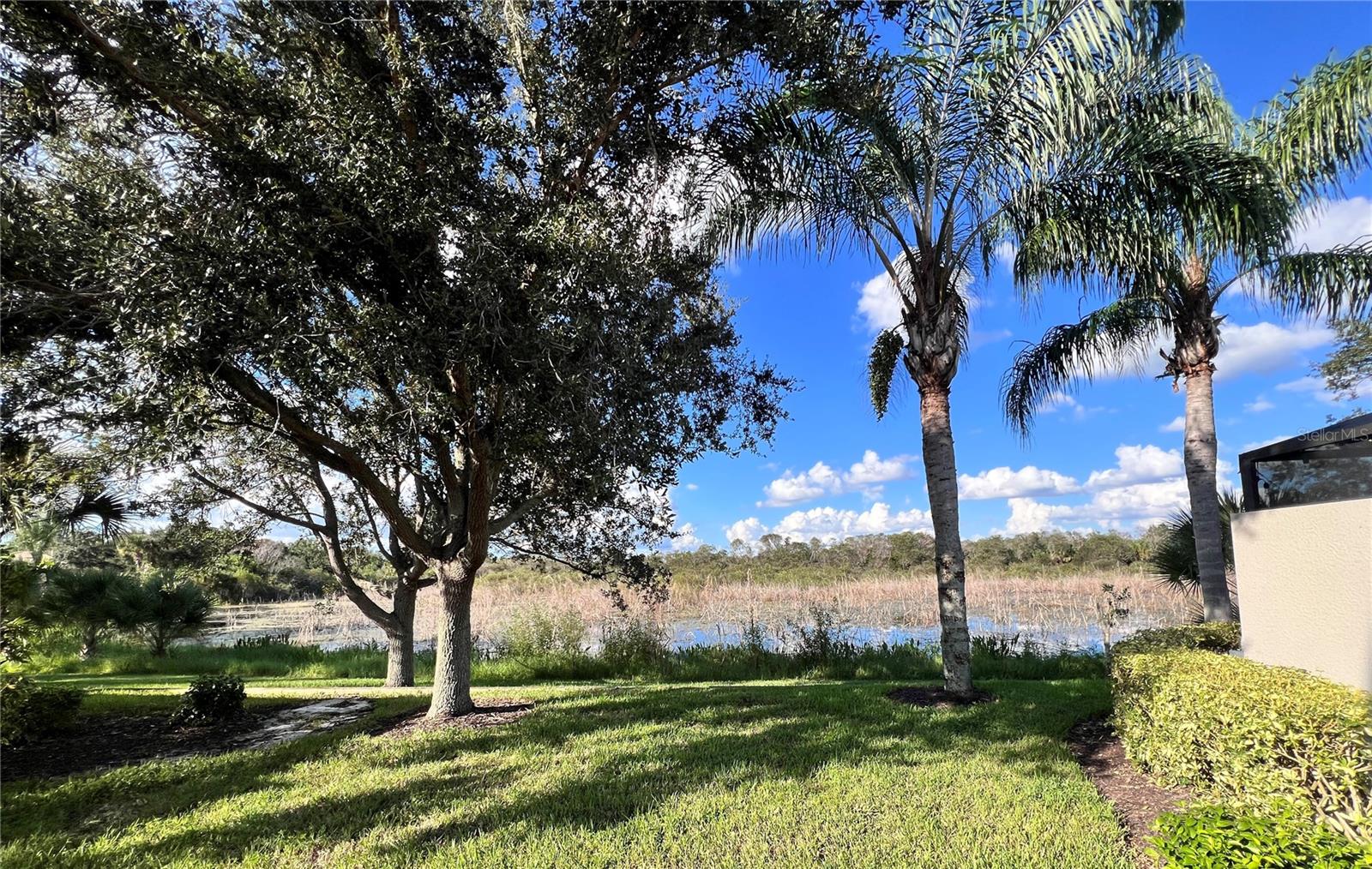 6058 BENEVENTO DR — photo 2