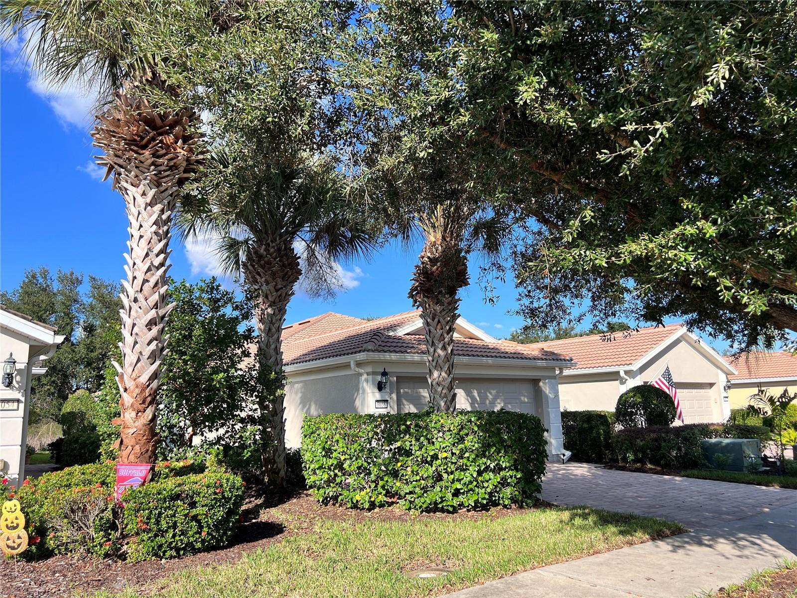6058 BENEVENTO DR — photo 20