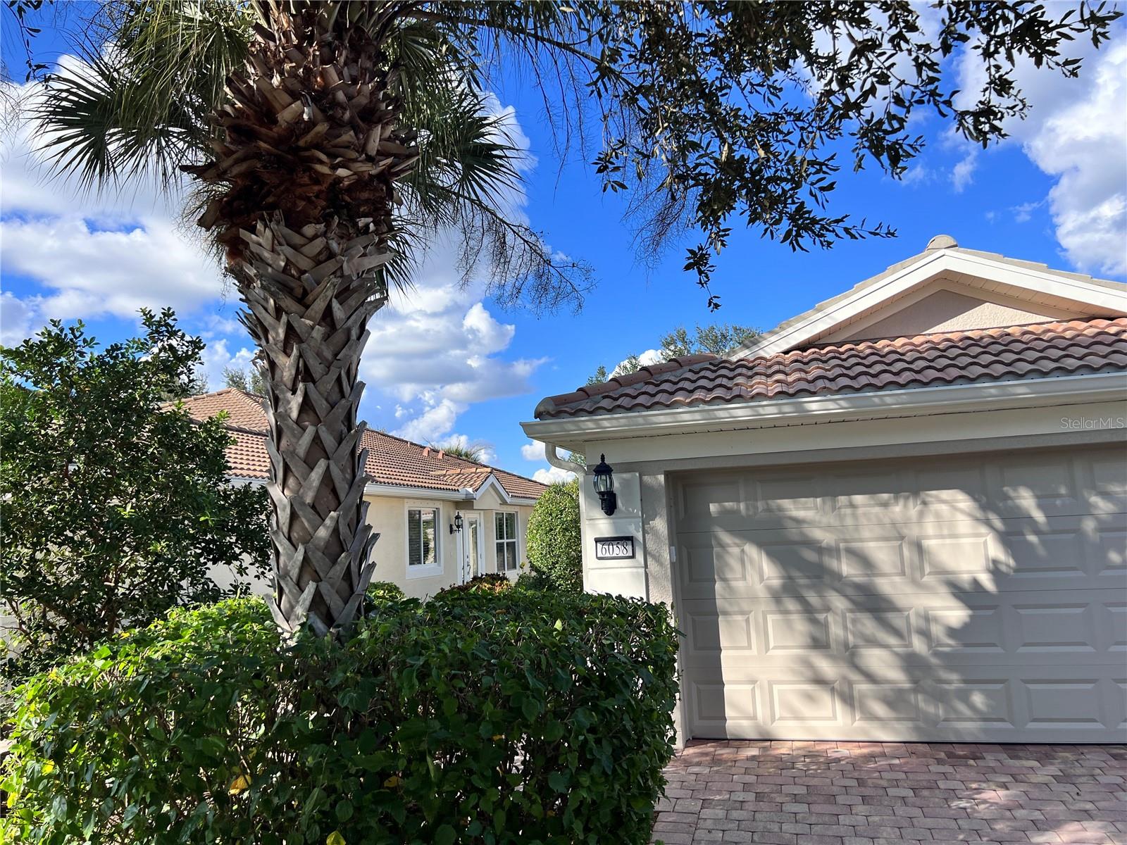 6058 BENEVENTO DR — photo 21