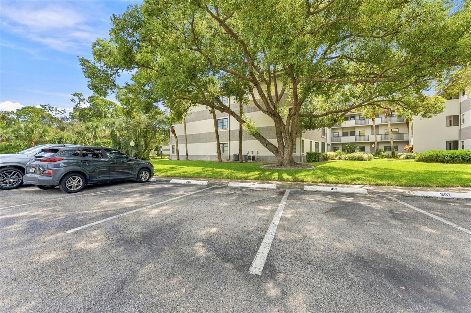 2650 COUNTRYSIDE BLVD #A306 — photo 2