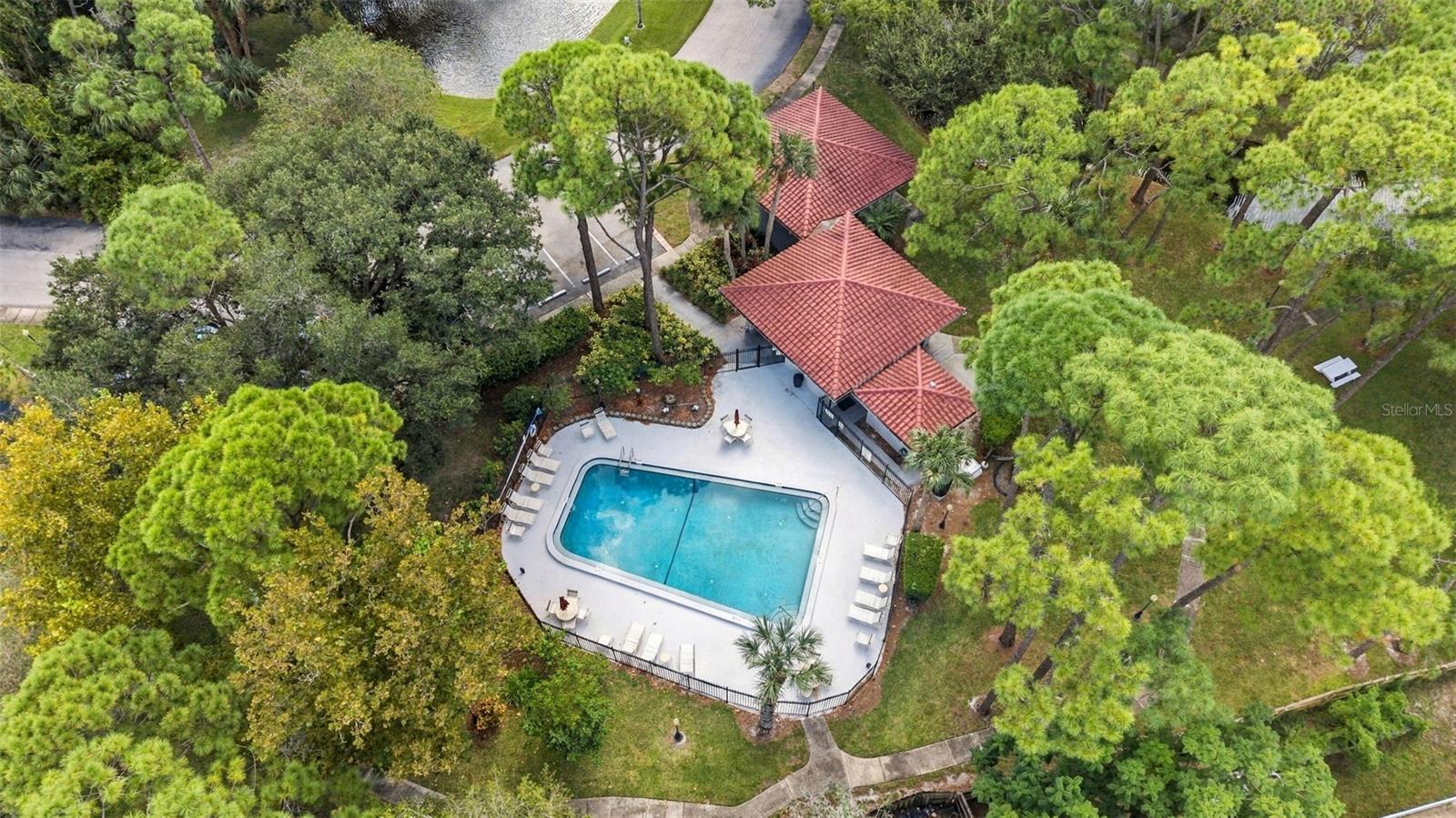 2650 COUNTRYSIDE BLVD #A306 — photo 46