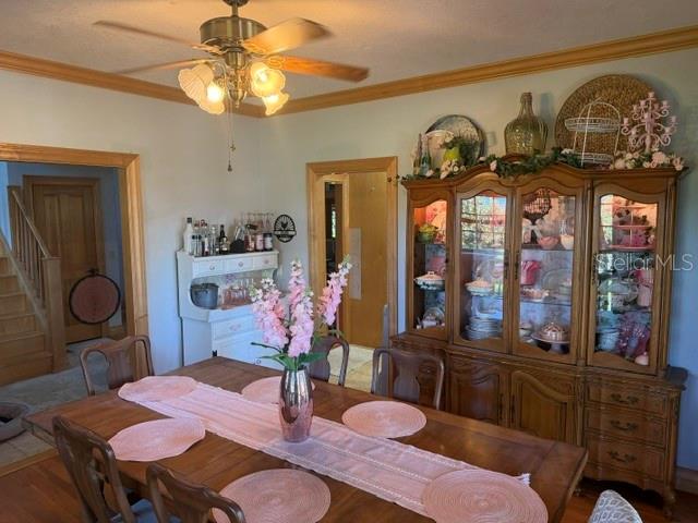 216 CASTILLO RD — photo 15