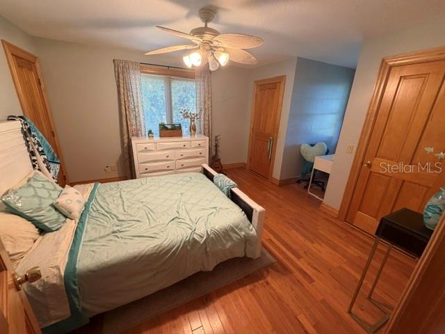 216 CASTILLO RD — photo 35