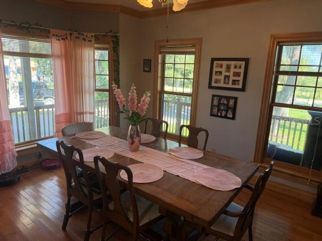 216 CASTILLO RD — photo 19