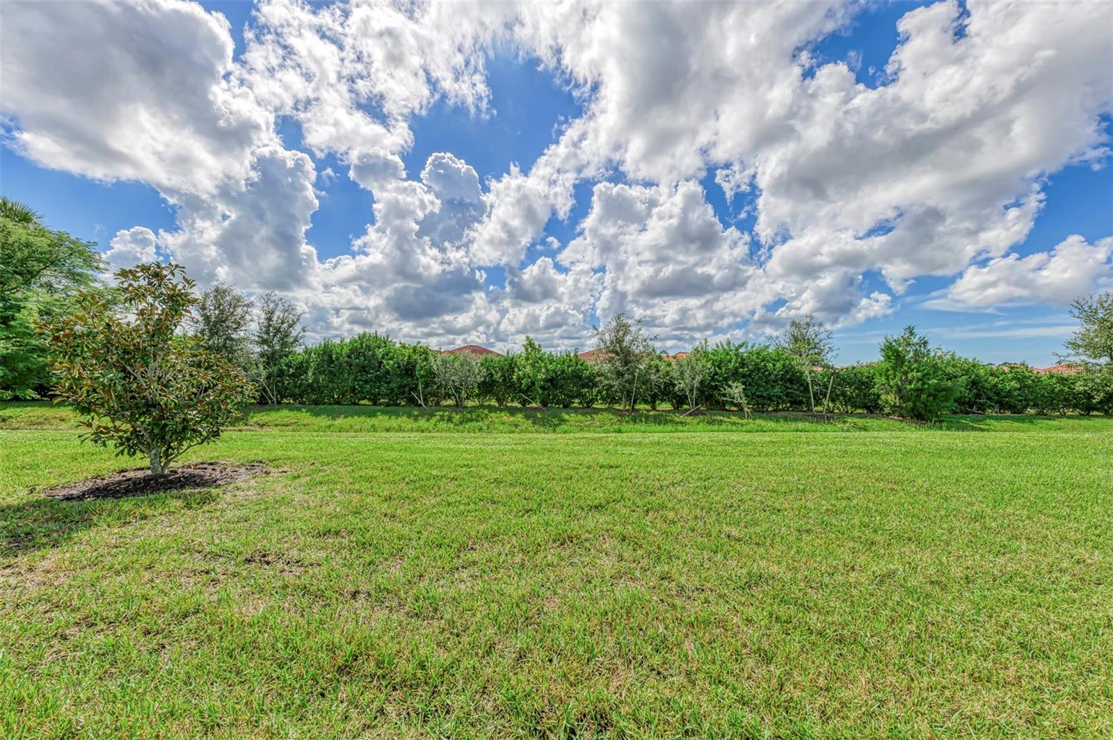 5941 LONG SHORE LOOP — photo 51