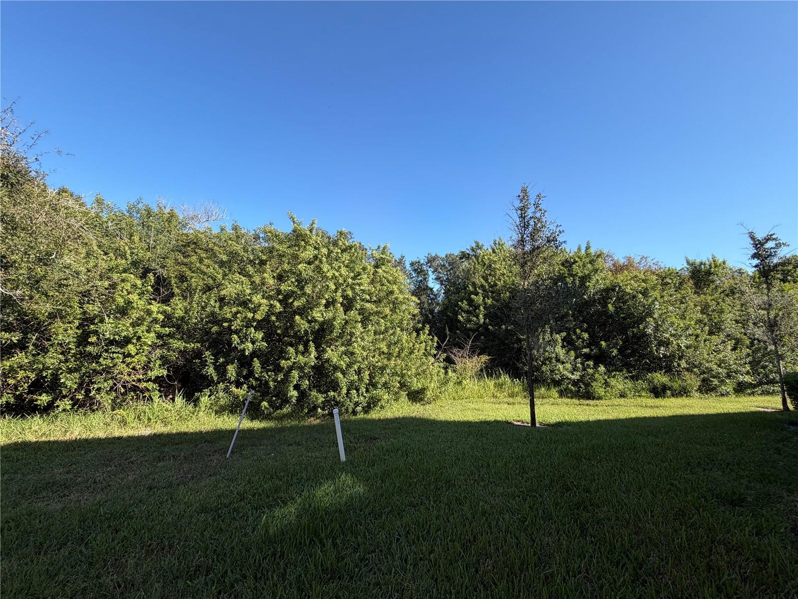 9650 PEMBROOKE PINES DR — photo 3