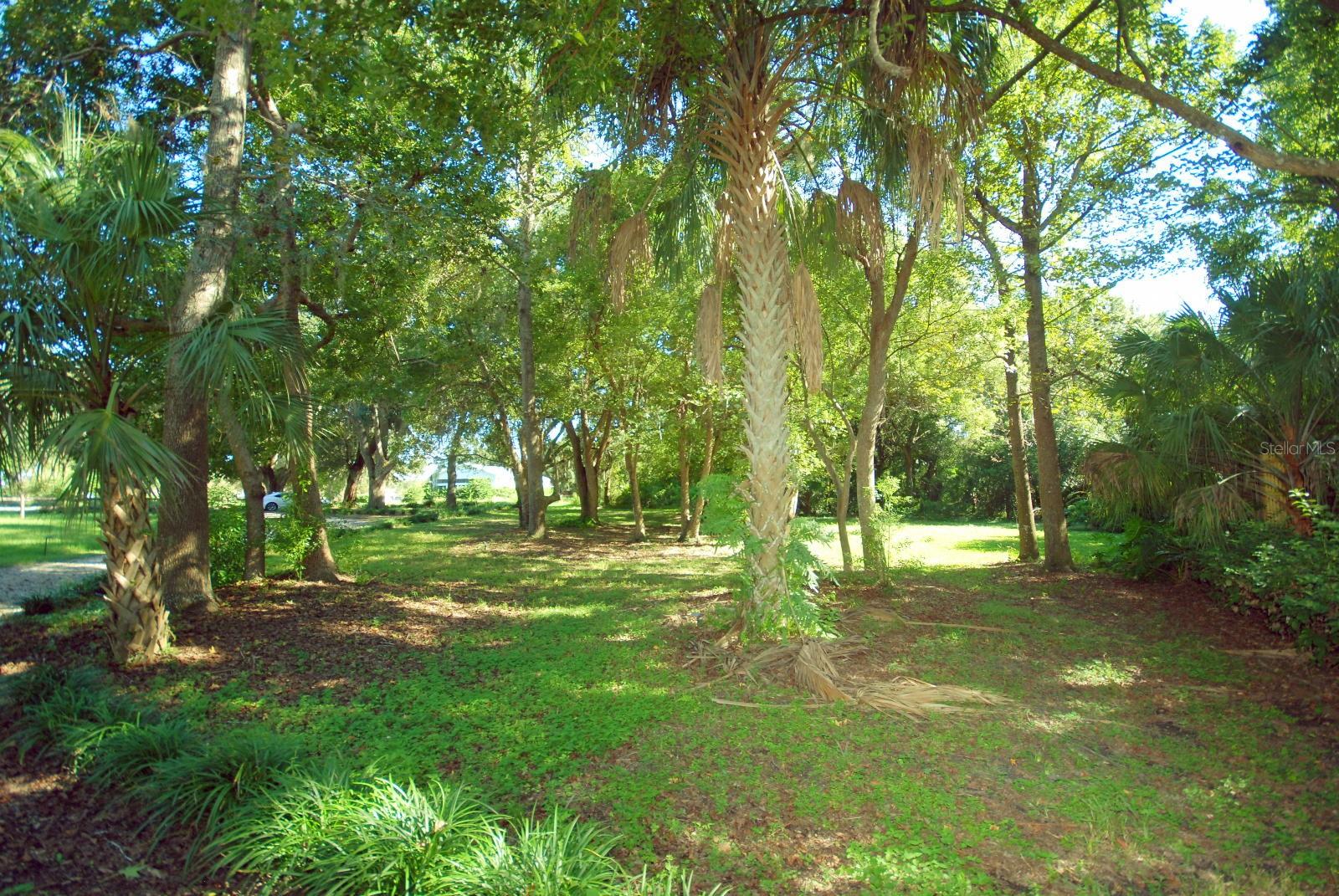 13022 E WHEELER RD — photo 11