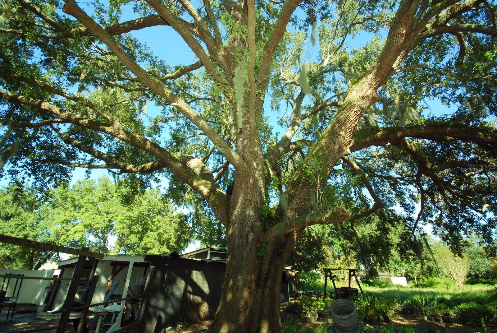 13022 E WHEELER RD — photo 16