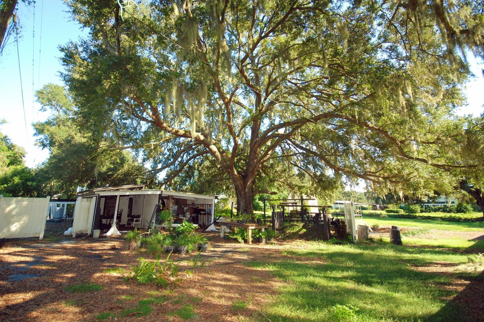 13022 E WHEELER RD — photo 8
