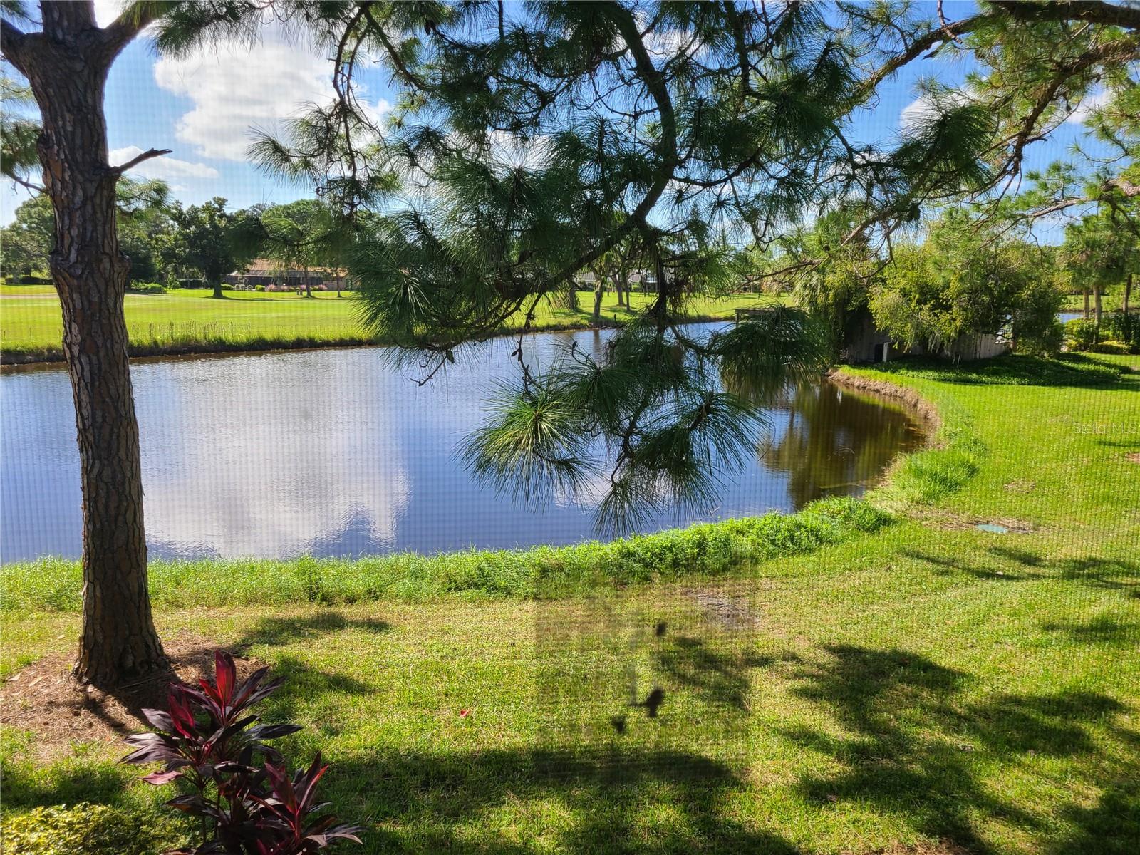 2825 TAYWOOD MDWS #2825 — photo 5