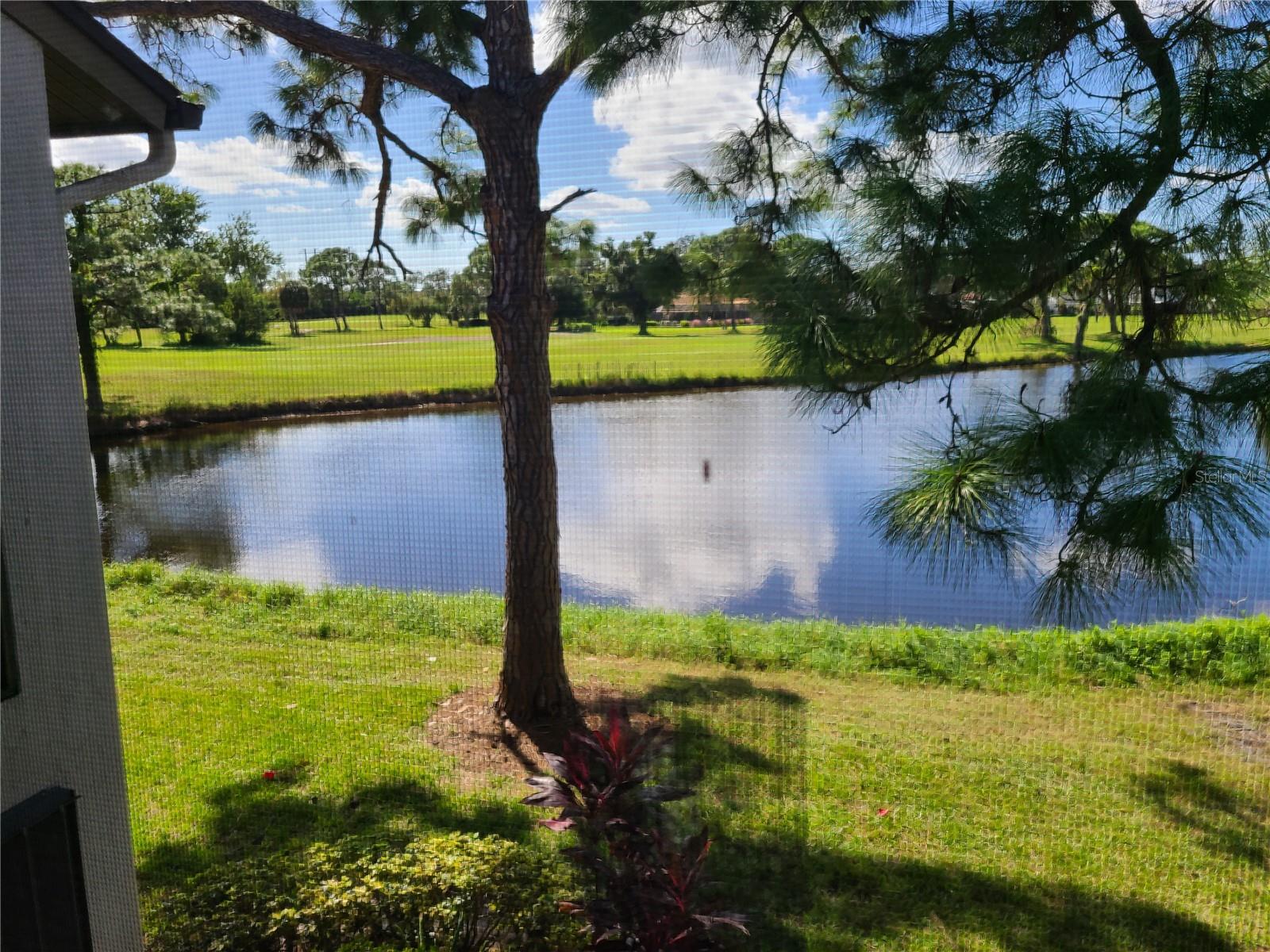2825 TAYWOOD MDWS #2825 — photo 4