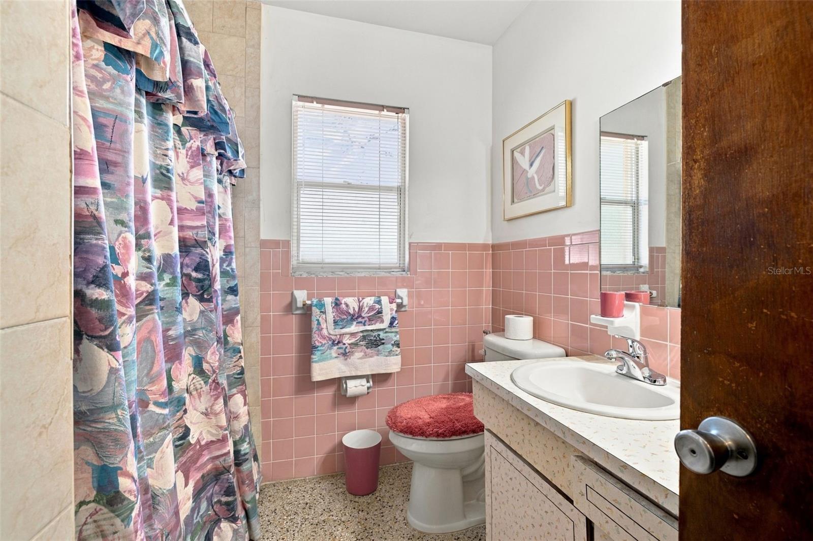 3409 W BRADDOCK ST — photo 20